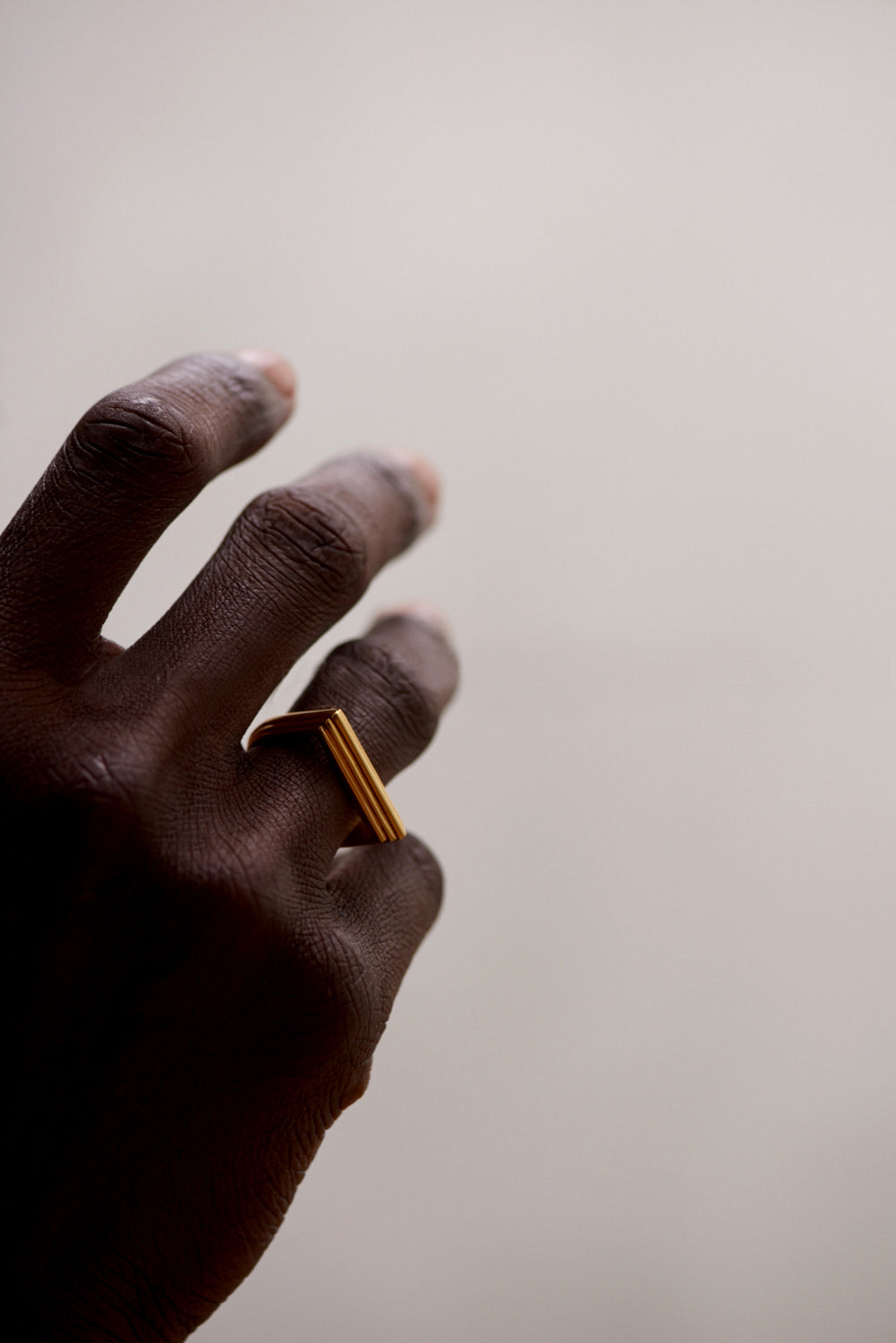 Riser Ring - Gold